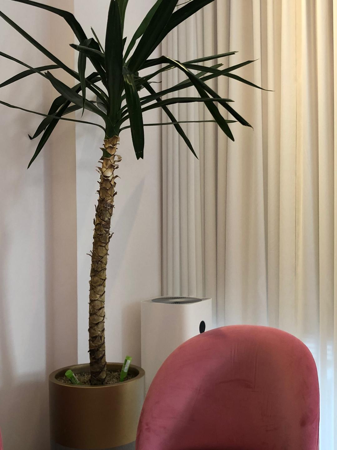 係眼鏡鋪同時又係一間咖啡廳？弘大「CARIN LOUNGE」探訪記，超靚打卡風格但...甜品令人差強人意